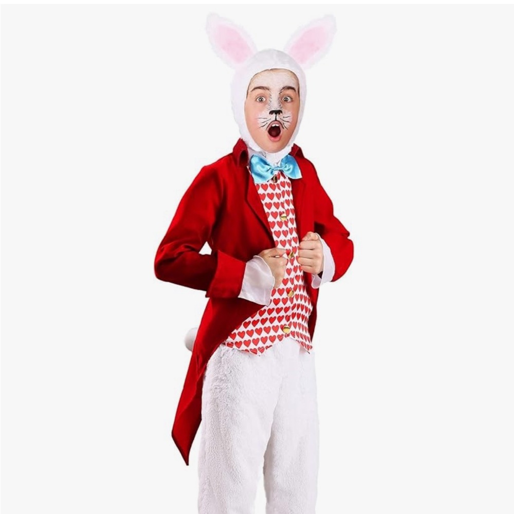 White Rabbit Costume